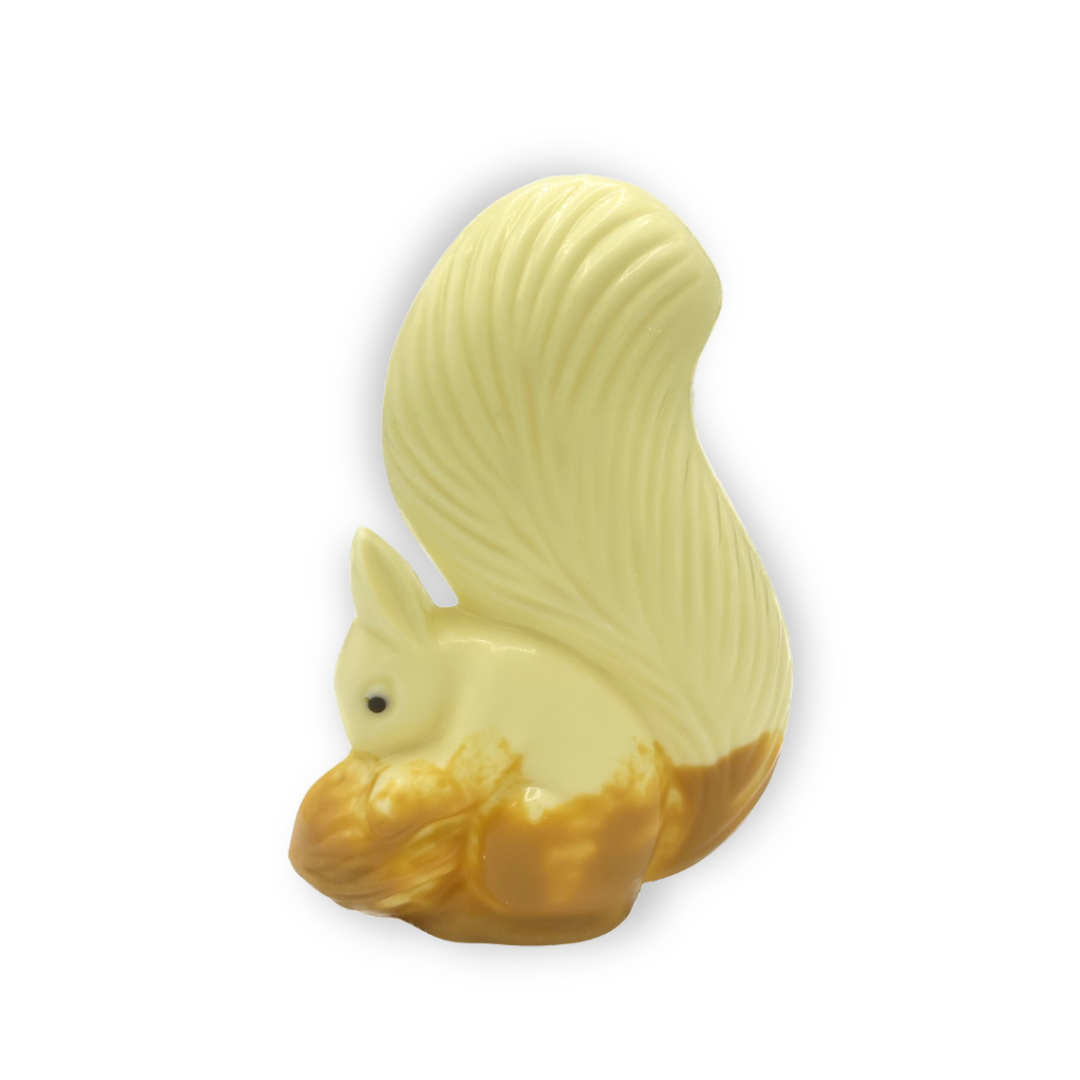 Kleines Eichhörnchen